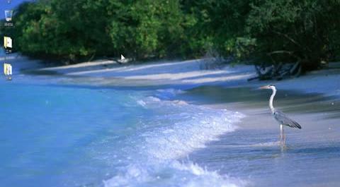 2013金融管理綜合應(yīng)用分析