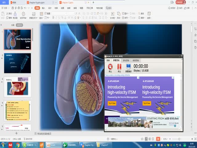 2020-2021年醫(yī)學(xué)詞匯課第八章