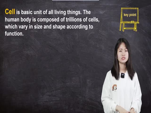 第二章&nbsp;醫(yī)學(xué)詞匯英語無憂