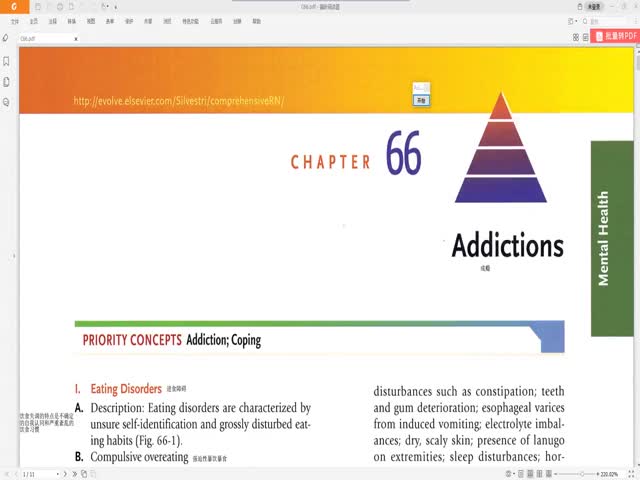 CHAPTER&nbsp;66&nbsp;成癮