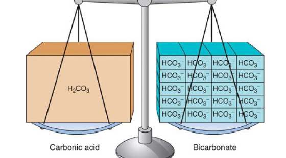 每周一題-8&nbsp;電解質(zhì)平衡&nbsp;添翼ISPN培訓課程RN考試解題技巧