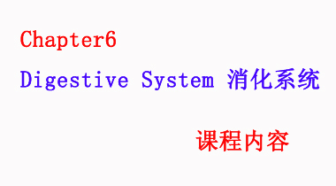 暑期班7.20日 护理词汇速记Chapter6 Digestive System 消化系统