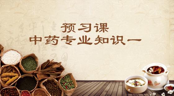 預(yù)習(xí)課--中藥專業(yè)知識一