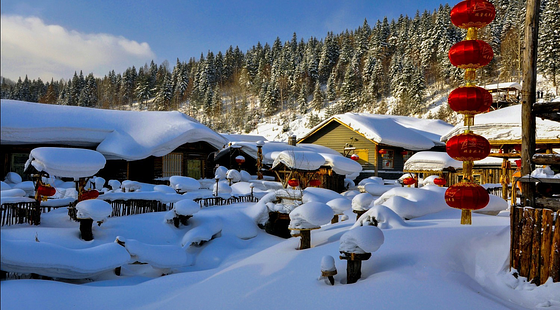 爸爸去哪儿大合集预售