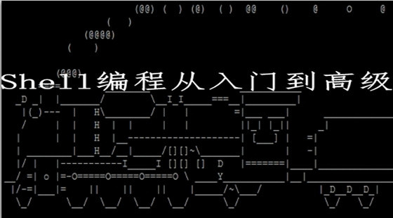 Linux編程Shell從入門到精通視頻教程（完整版）