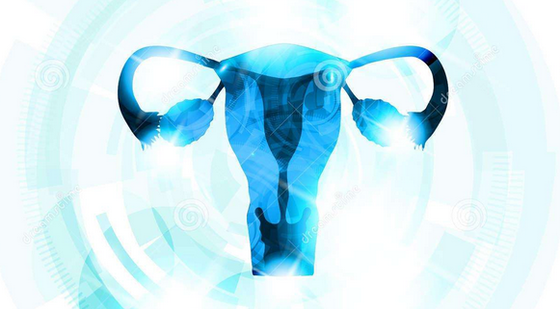 添翼ISPN/RN醫(yī)學(xué)詞匯課&nbsp;第八章&nbsp;女性生殖系統(tǒng)&nbsp;female&nbsp;reproductive&nbsp;system