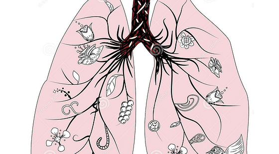 添翼ISPN/RN醫(yī)學詞匯課&nbsp;第五章&nbsp;呼吸系統(tǒng)&nbsp;respiratory&nbsp;system