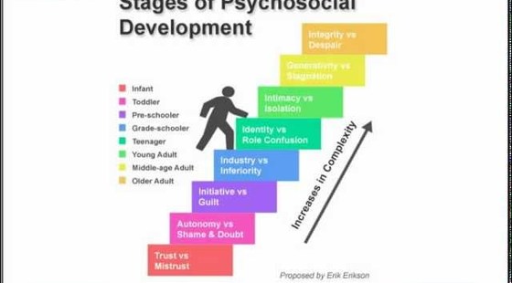 添翼2017-2018年ISPN/RN專業(yè)課&nbsp;21章&nbsp;成長發(fā)育理論