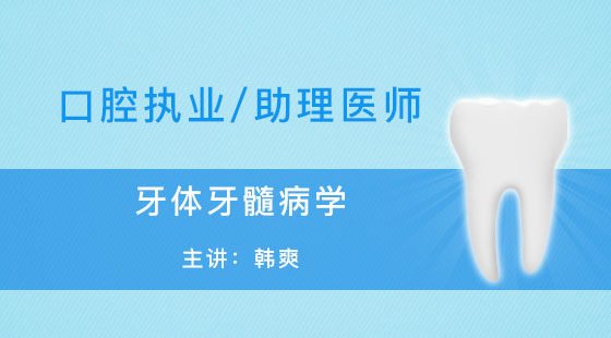 口腔執(zhí)業(yè)-助理醫(yī)師-韓爽-牙體牙髓病學