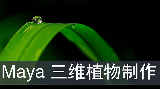 Maya植物制作技巧（G407）