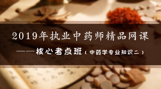 2019年執(zhí)業(yè)中藥師精品網(wǎng)課--核心考點班（中藥二）