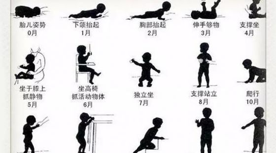 添翼2020-2021&nbsp;ISPN/RN&nbsp;專業(yè)課&nbsp;第22章&nbsp;發(fā)育不同階段