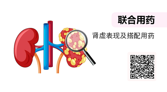 微課-腎虛表現(xiàn)及搭配用藥